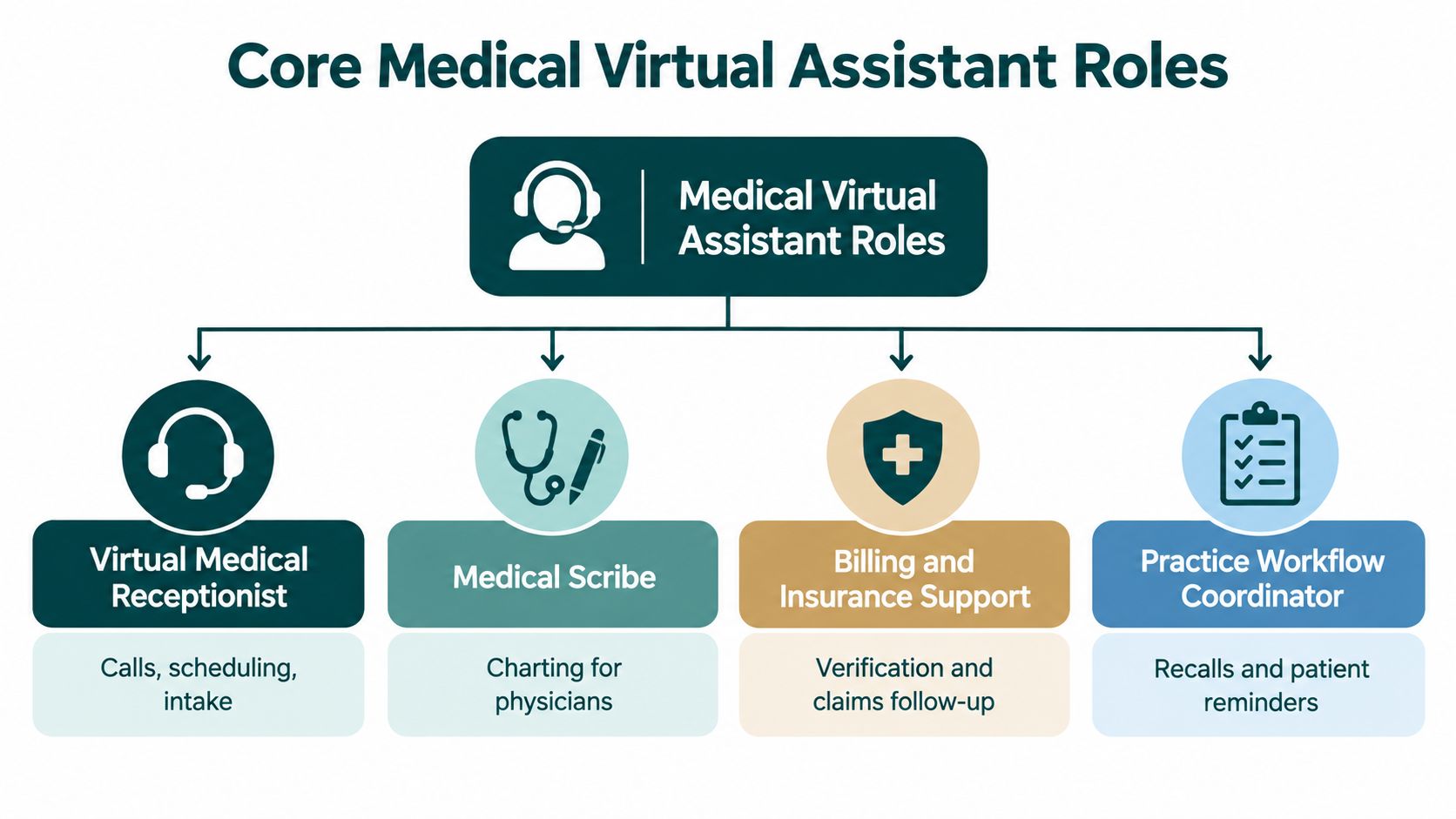 An organizational chart showing the core roles of a medical virtual assistant including receptionist, scribe, billing, and coordinator.
